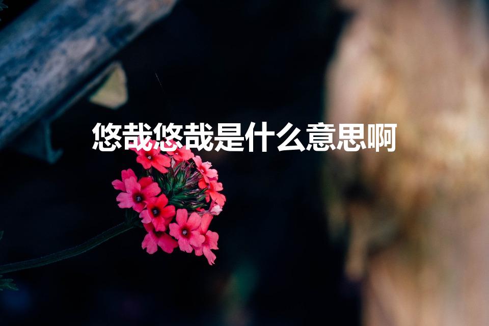 悠哉悠哉是什么意思啊（悠哉游哉和悠哉悠哉的区别是什么）