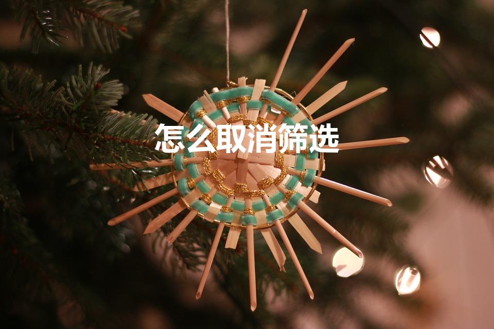 怎么取消筛选（在excel中怎样取消筛选）