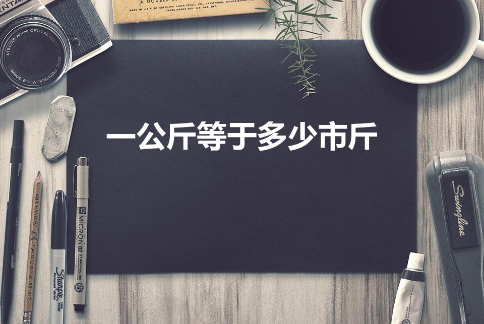 一公斤等于多少市斤（1kg是多少市斤）