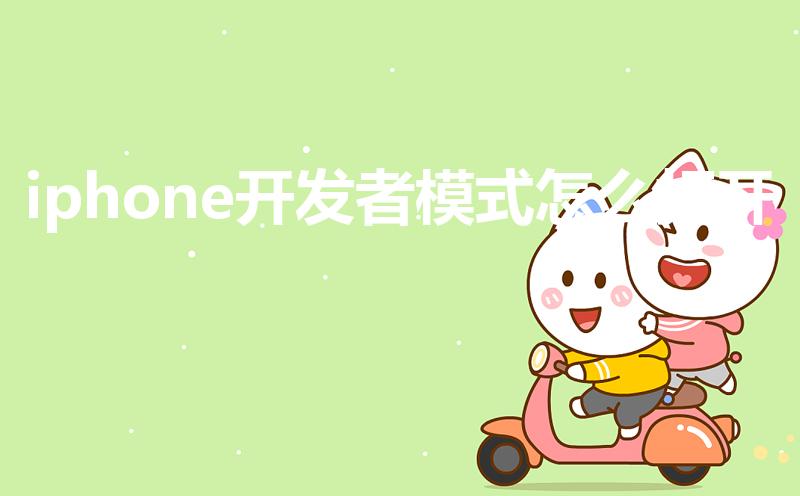 iphone开发者模式怎么打开