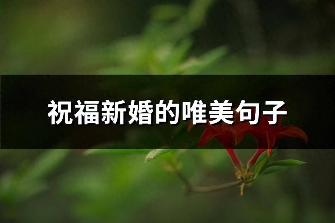 新婚祝福语句简短？恭贺新婚大喜的祝福语大全