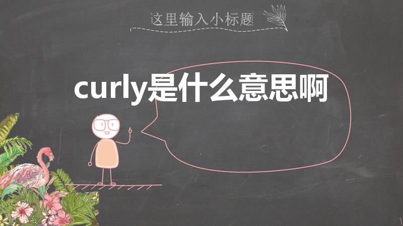 curly是什么意思啊（curly什么意思）