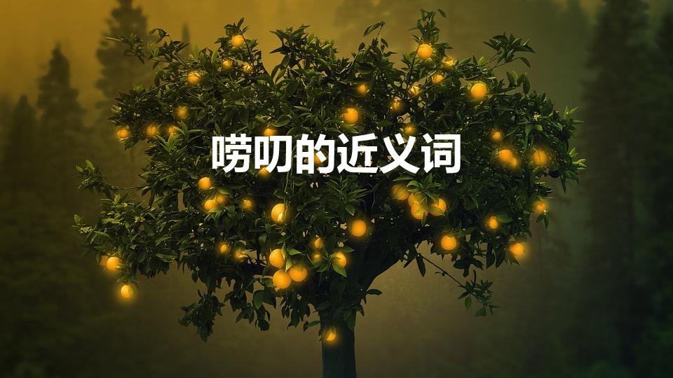 唠叨的近义词（“唠叨”的近义词是什么）