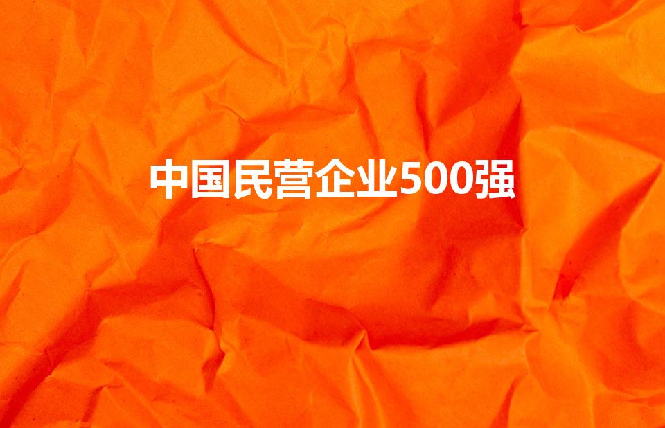 中国民营企业500强（世界500强私企）