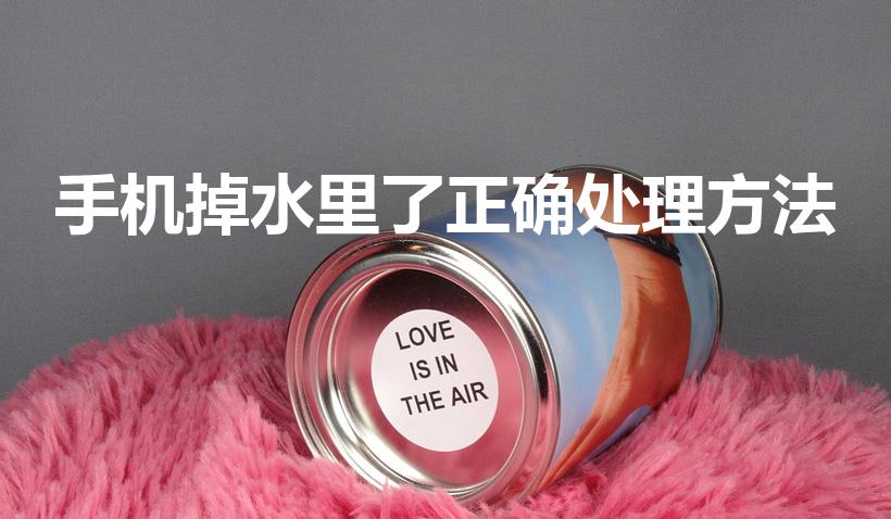 手机掉水里了正确处理方法（手机进水怎么处理）