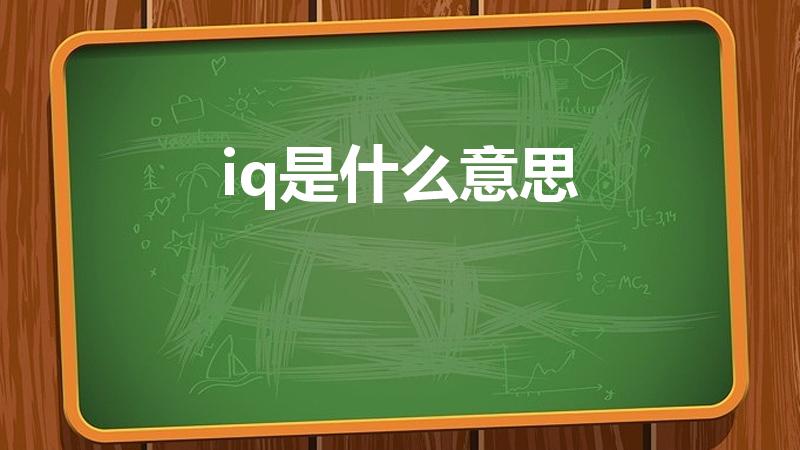 iq是什么意思（IQ是什么意思）