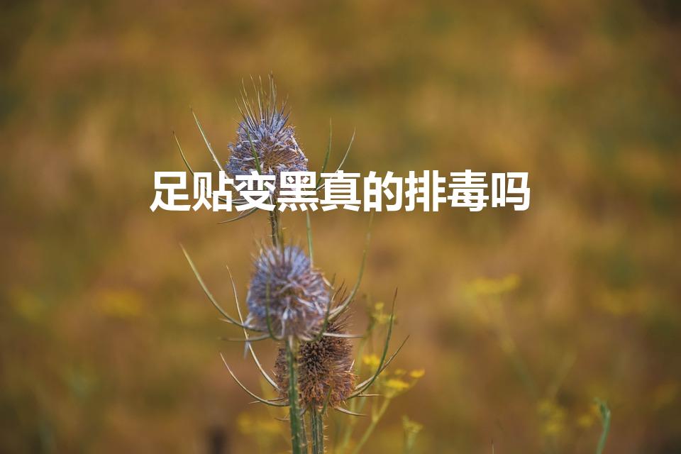 足贴变黑真的排毒吗（足贴排毒是不是真的）