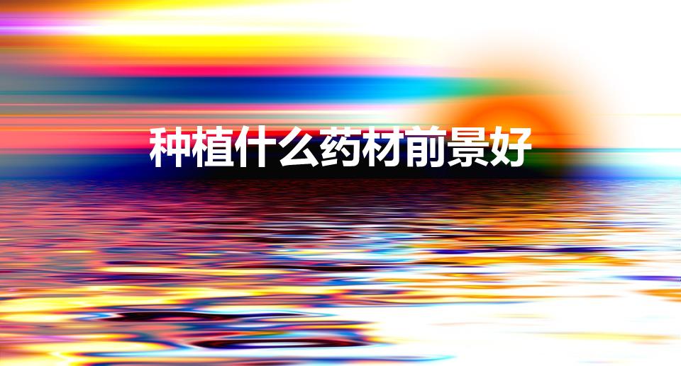 种植什么药材前景好