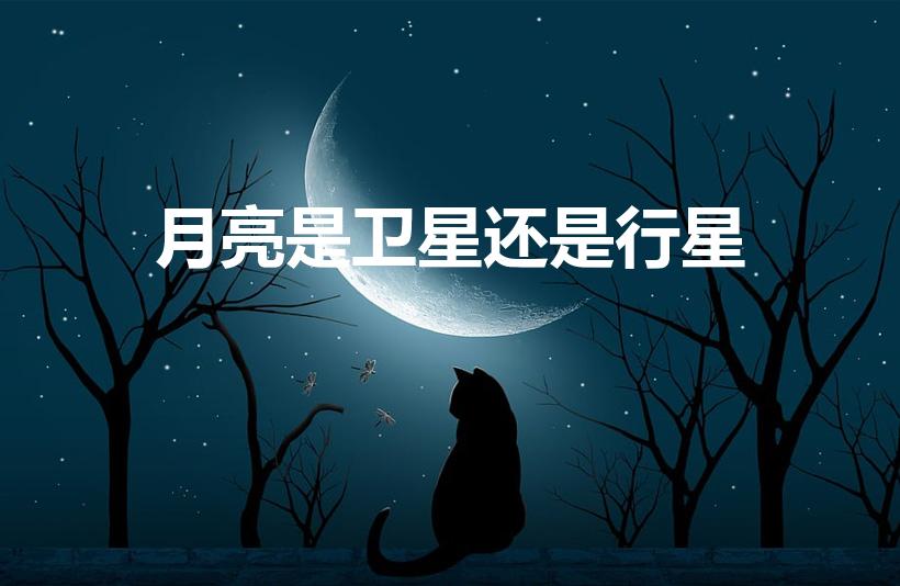 月亮是卫星还是行星（月球属于行星,还是卫星）