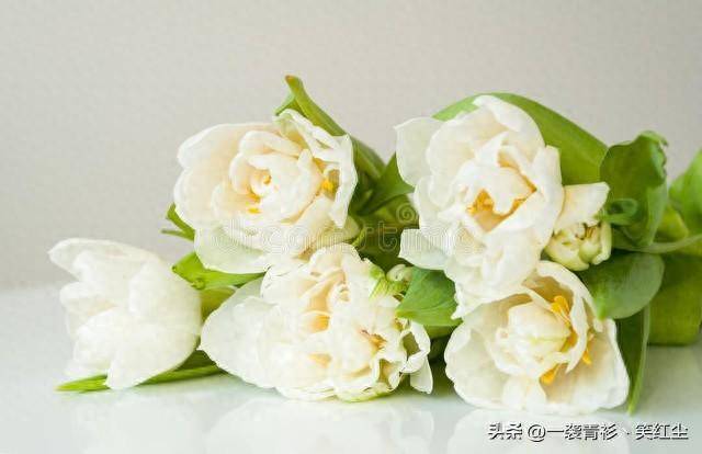 中秋十一双节祝福语大全？ 双节快乐祝福语句子