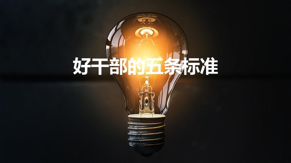 好干部的五条标准（党章规定的好干部标准是）