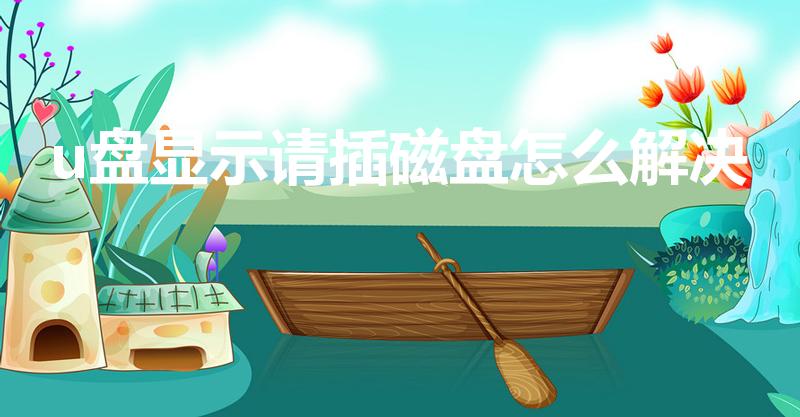 u盘显示请插磁盘怎么解决