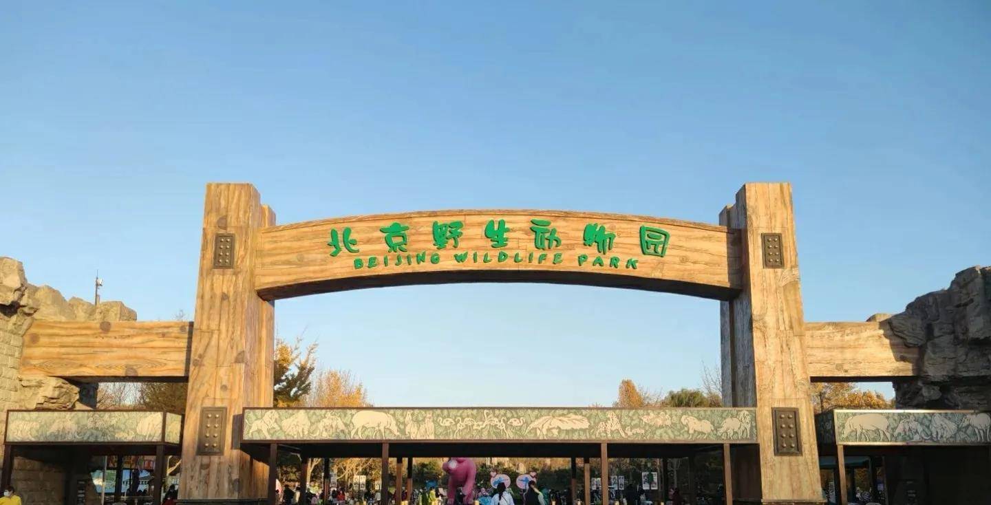 北京野生动物园自驾游攻略需要多久？北京动物园最佳路线图
