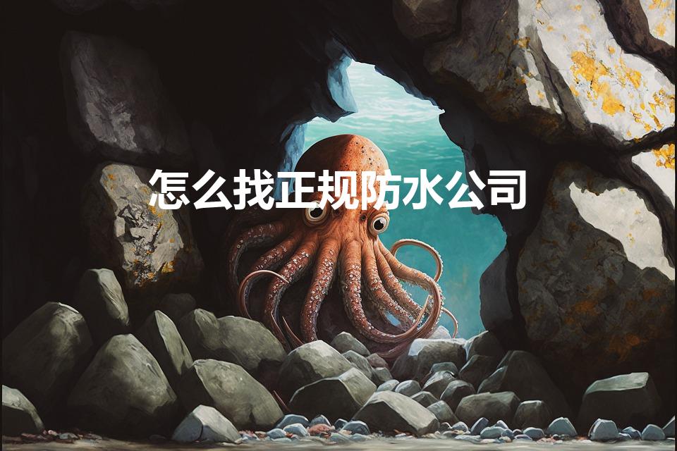 怎么找正规防水公司（怎么找防水补漏的公司）