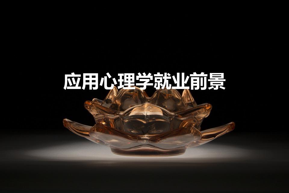 应用心理学就业前景（应用心理学的就业方向和前景）