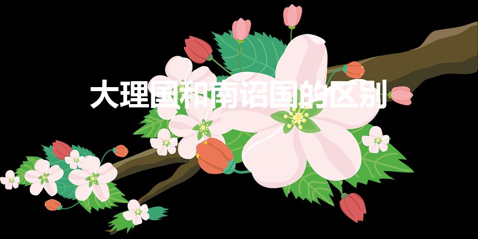 大理国和南诏国的区别