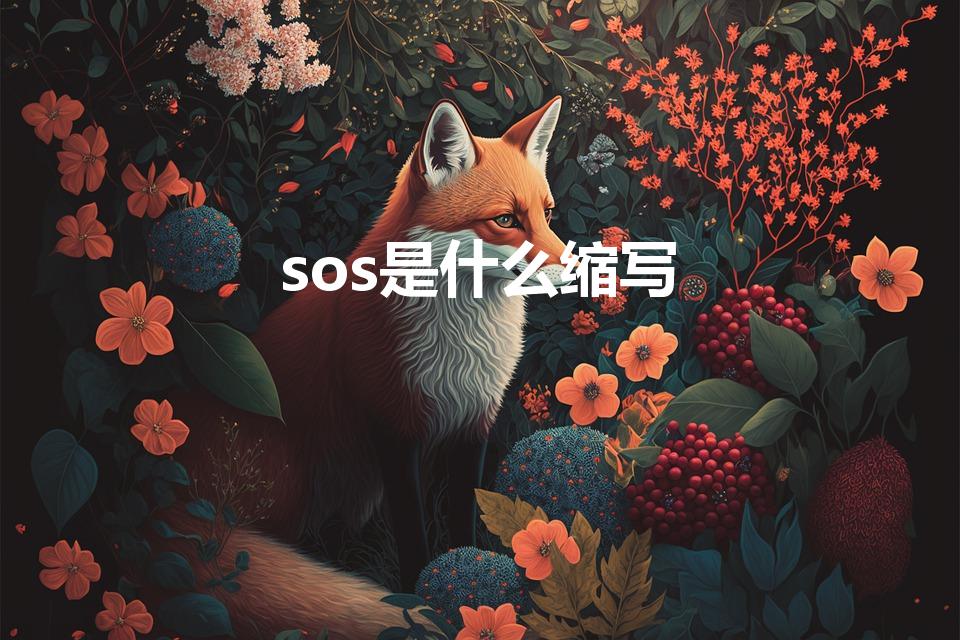 sos是什么缩写（sos是什么缩写呢）