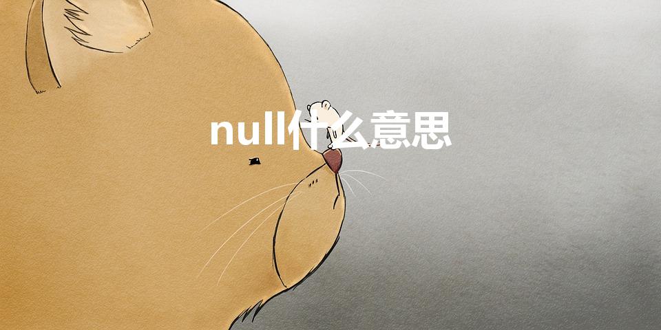 null什么意思（null 是什么意思）