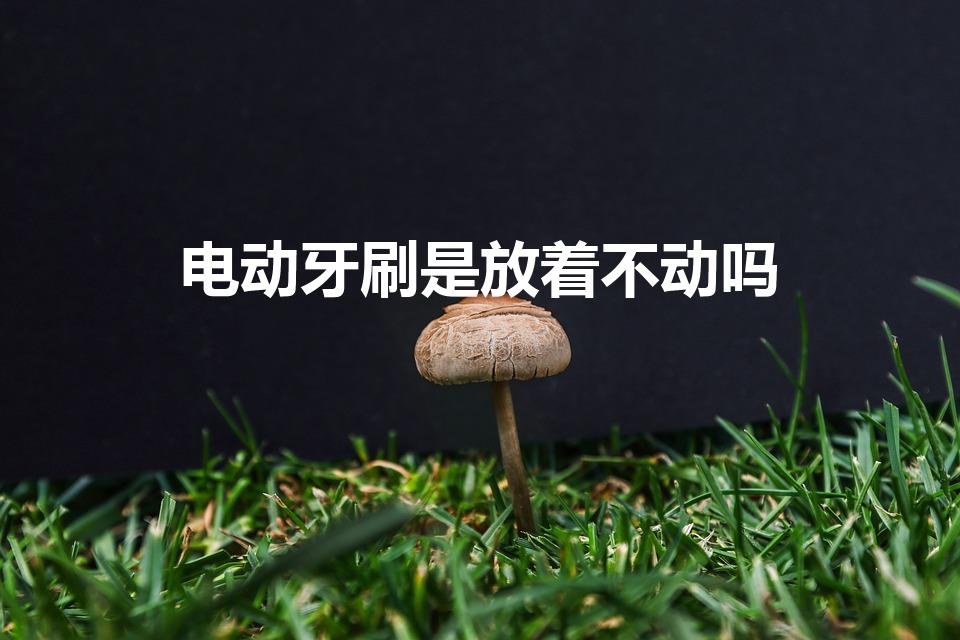 电动牙刷是放着不动吗（电动牙刷需要手动来回刷吗）