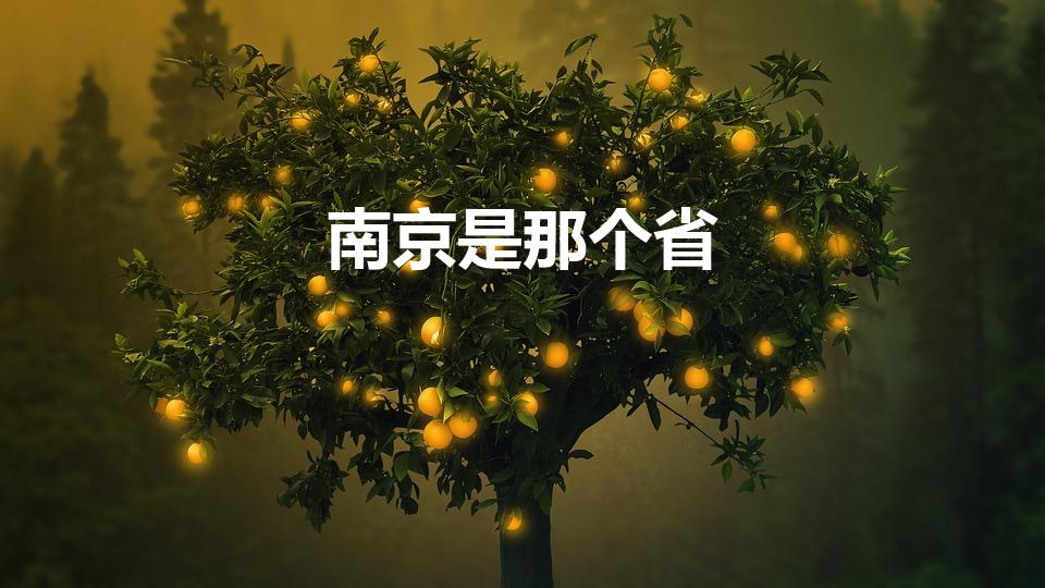 南京是那个省（南京在哪个省）