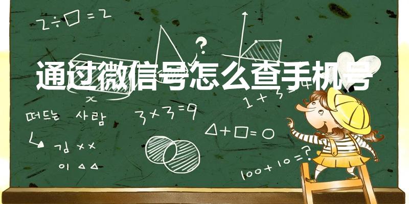 通过微信号怎么查手机号（怎样从微信查电话号码）