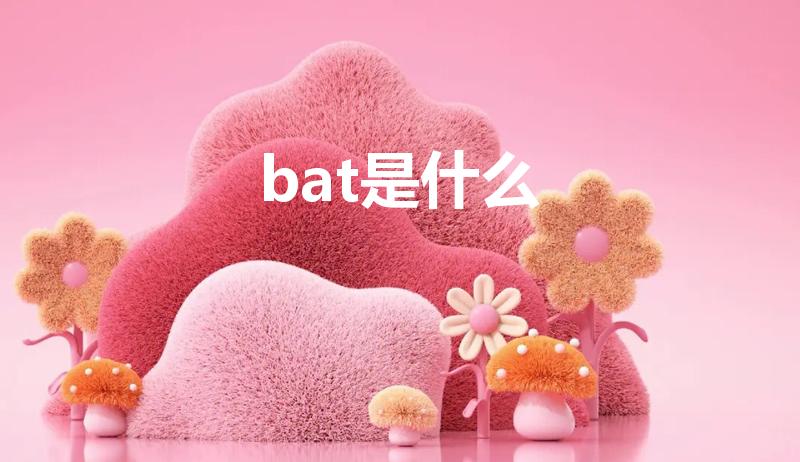 bat是什么（bat是什么的缩写）