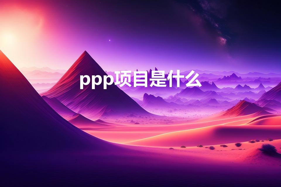 ppp项目是什么（什么是PPP项目）