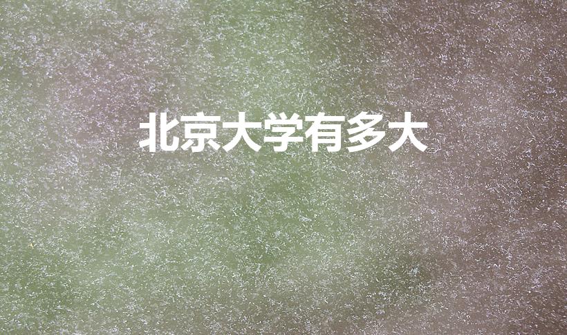 北京大学有多大（北京大学占地面积是多少）