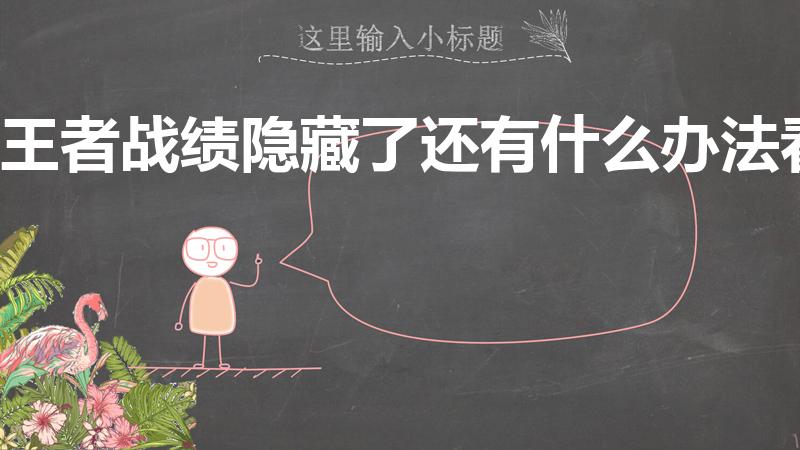 王者战绩隐藏了还有什么办法看