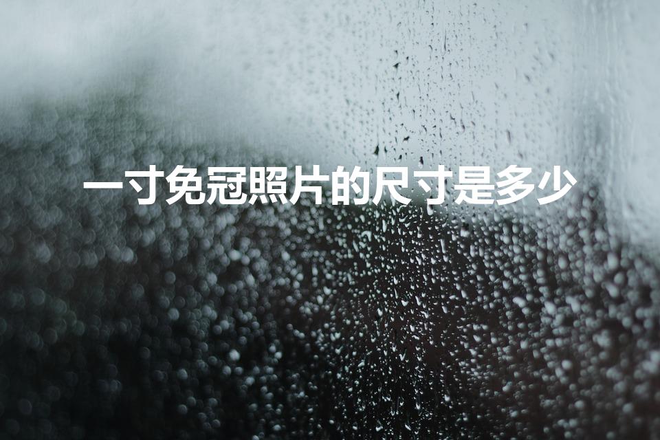 一寸免冠照片的尺寸是多少（标准一寸照片尺寸是多少）