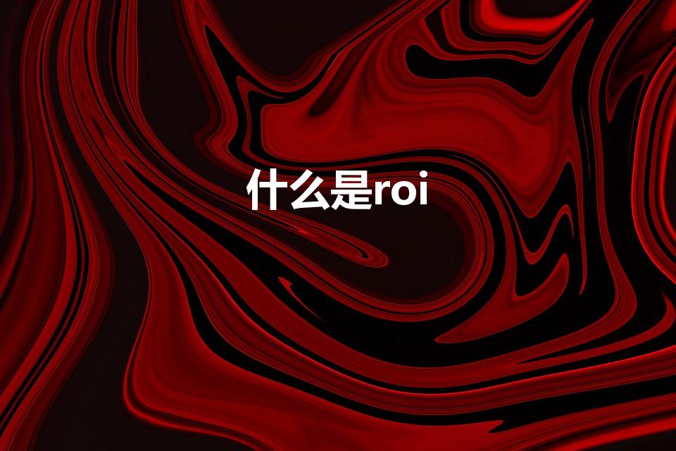 什么是roi（ROI指的是什么）
