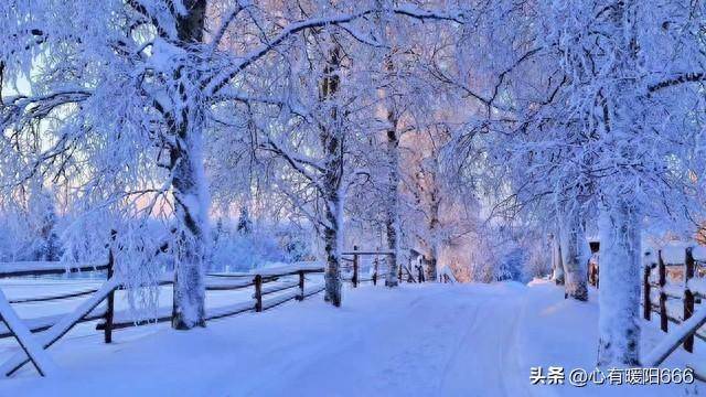 十字以内下雪唯美句子？下雪的唯美短句古风