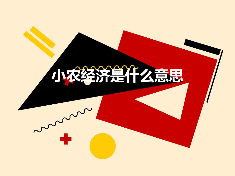 小农经济是什么意思（古代小农经济的含义）