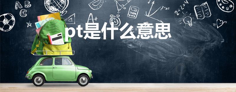 pt是什么意思（PT是什么意思）
