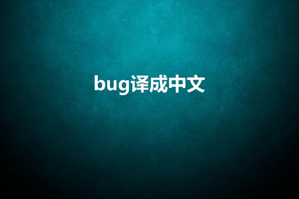 bug译成中文（BUG是什么意思）