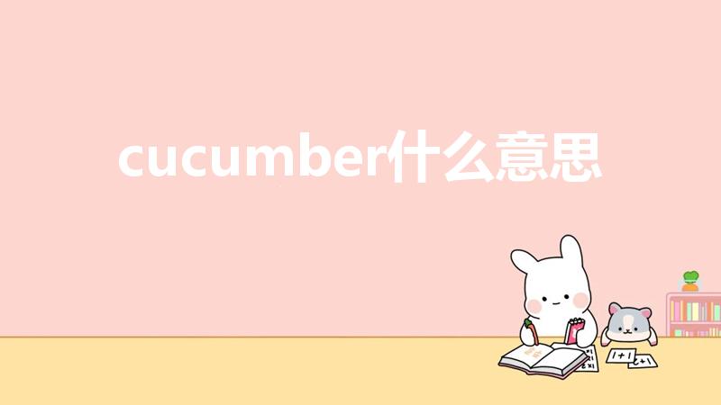 cucumber什么意思（cucumbers是什么意思）