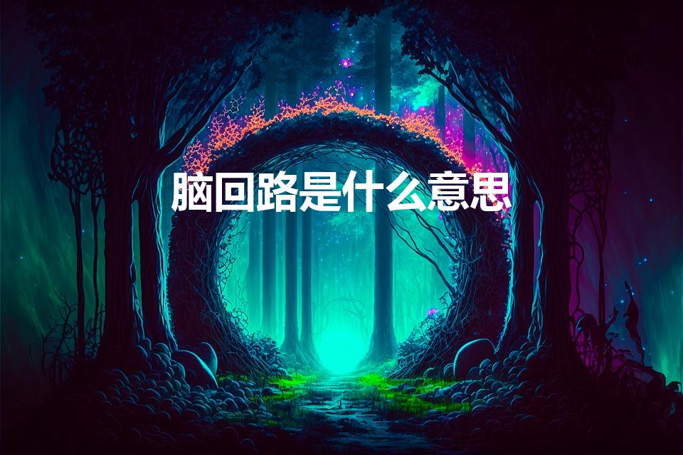 脑回路是什么意思（脑回路是什么意思 脑回路的意思）