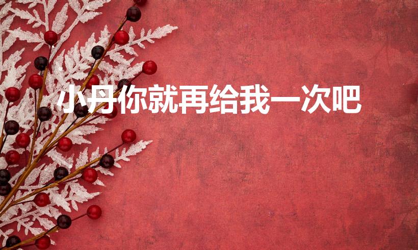 小丹你就再给我一次吧（丁元英对小丹说的一句鬼话）