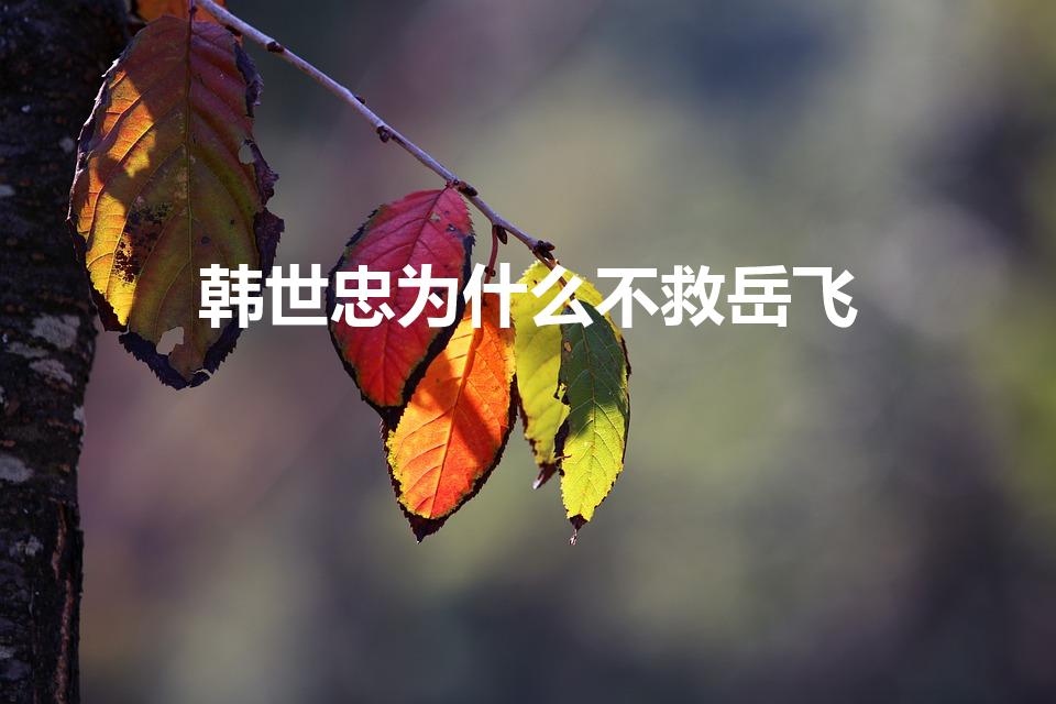 韩世忠为什么不救岳飞（岳飞遭算计的时候,韩世忠为何不救）
