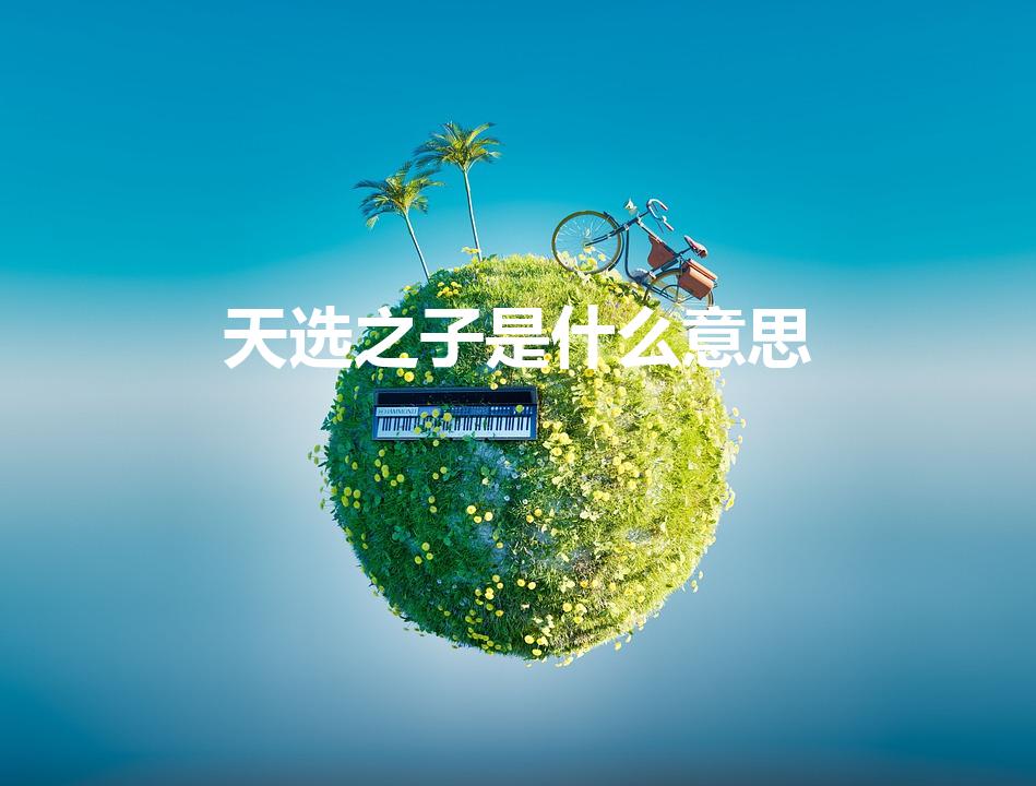 天选之子是什么意思（天选之子是什么梗）