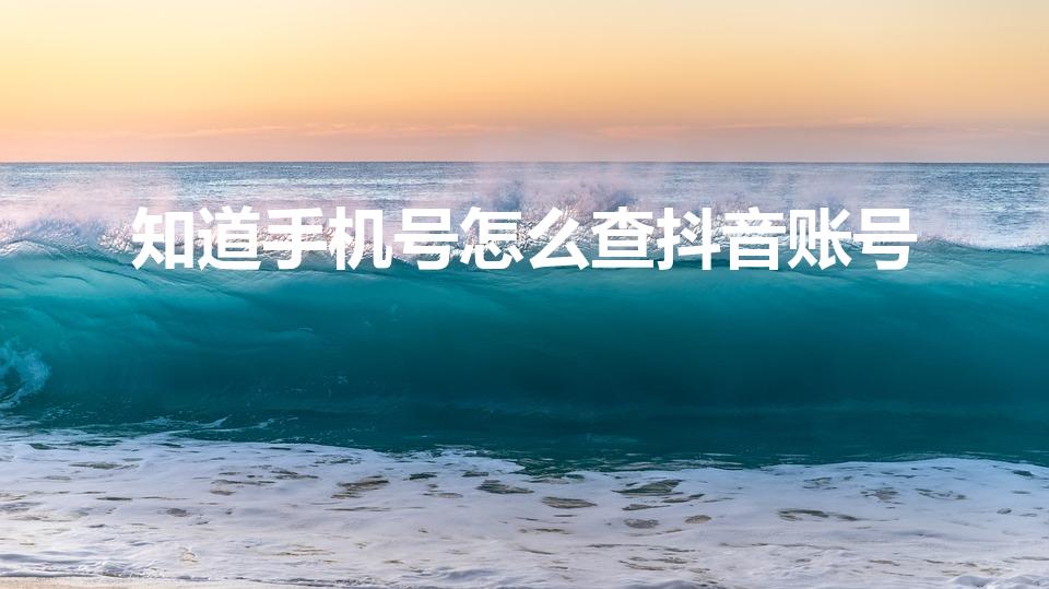 知道手机号怎么查抖音账号（手机号怎么搜索抖音号）