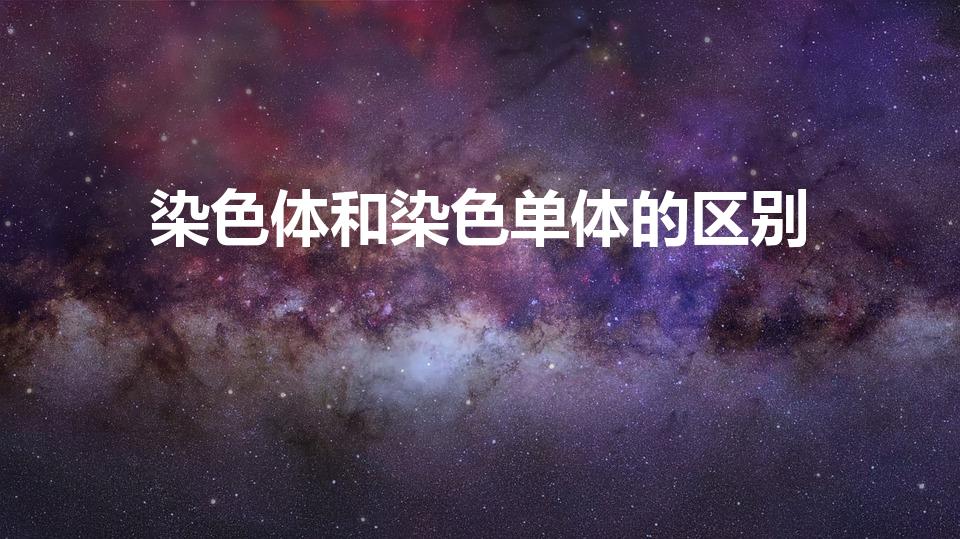 染色体和染色单体的区别（染色体与染色单体区别是什么）