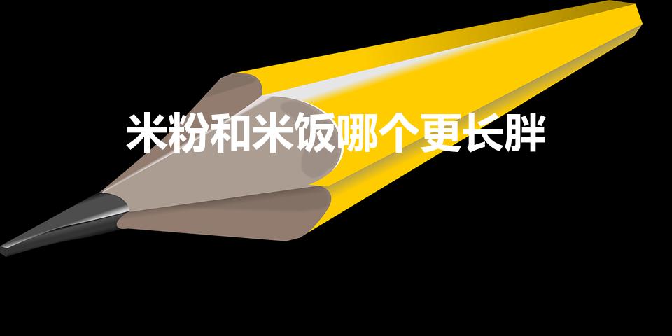 米粉和米饭哪个更长胖