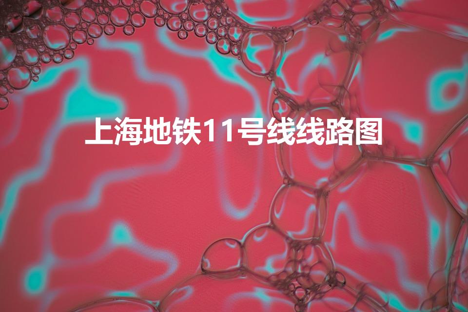 上海地铁11号线线路图（上海11号地铁站线站点）
