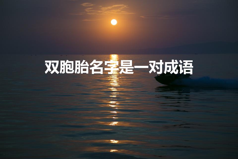 双胞胎名字是一对成语（双胞胎名字是一对成语男孩）