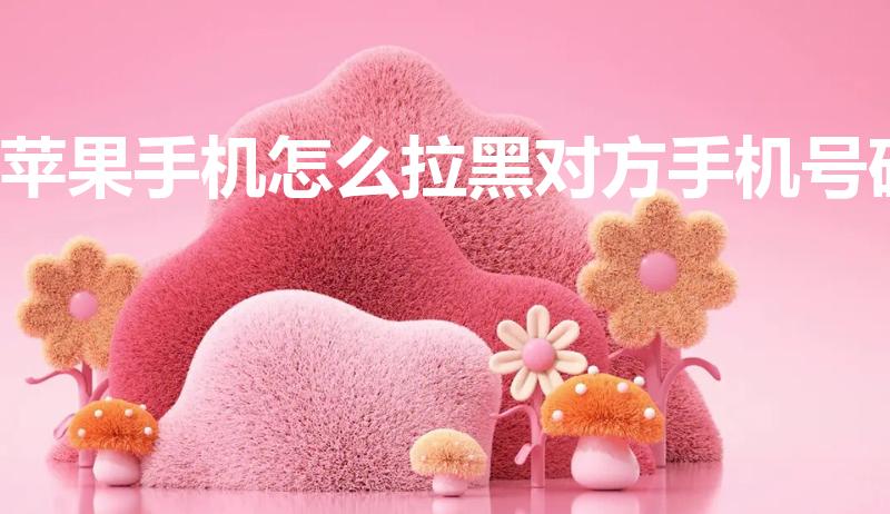 苹果手机怎么拉黑对方手机号码（苹果怎么拉黑对方手机号码）