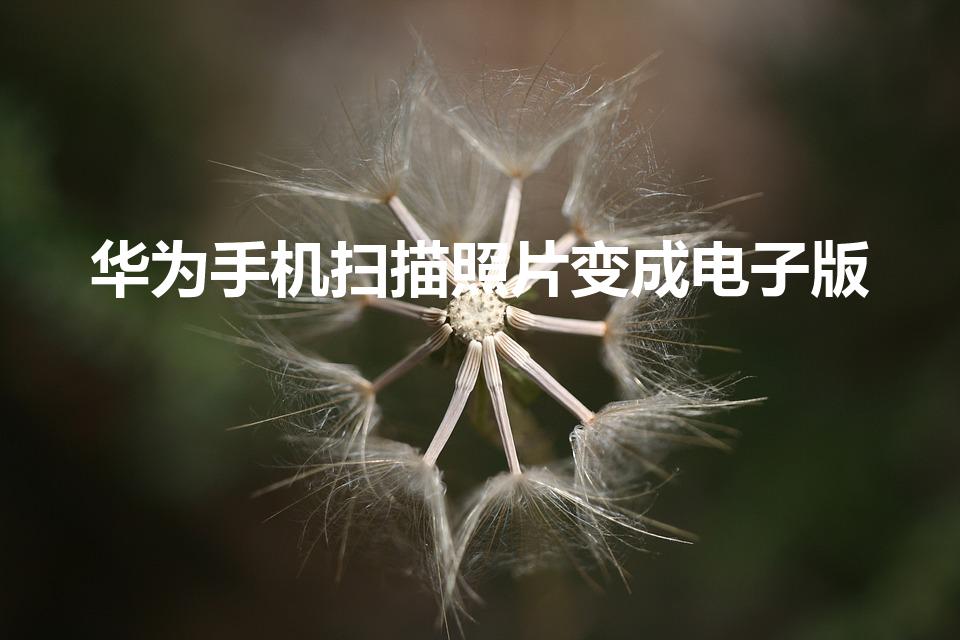 华为手机扫描照片变成电子版（华为手机图片怎么变成电子版）