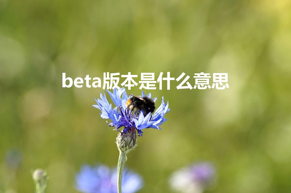 beta版本是什么意思（beta版是什么意思）