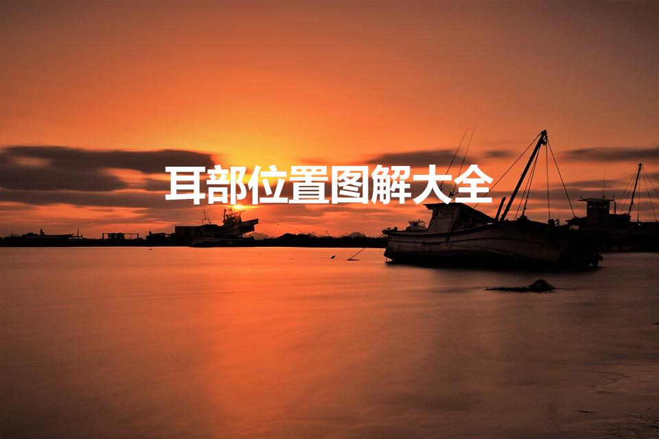 耳部位置图解大全（耳朵上的反射区有哪些）