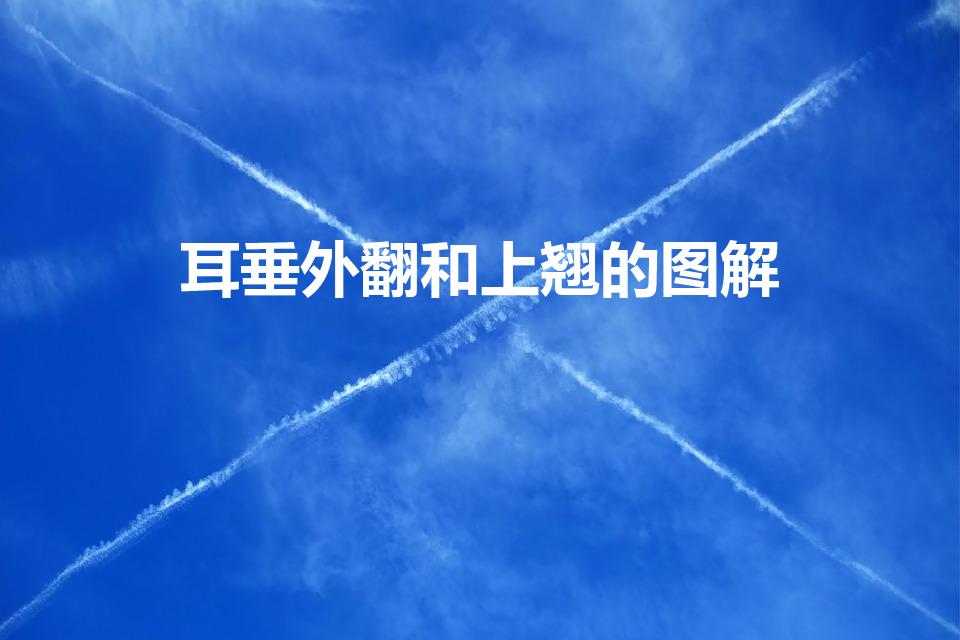 耳垂外翻和上翘的图解（耳垂朝上翘是什么耳朵）